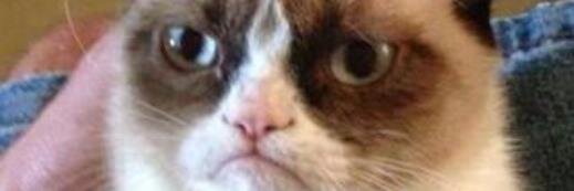 AdanMaltos's profile banner image