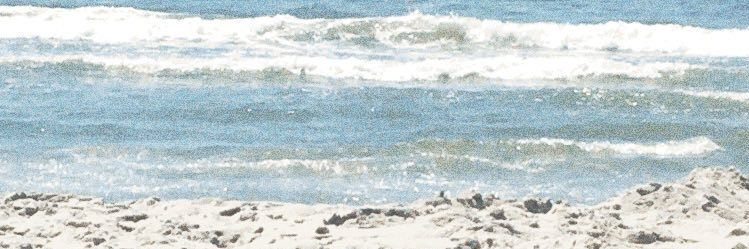 Leasigrid1's profile banner image