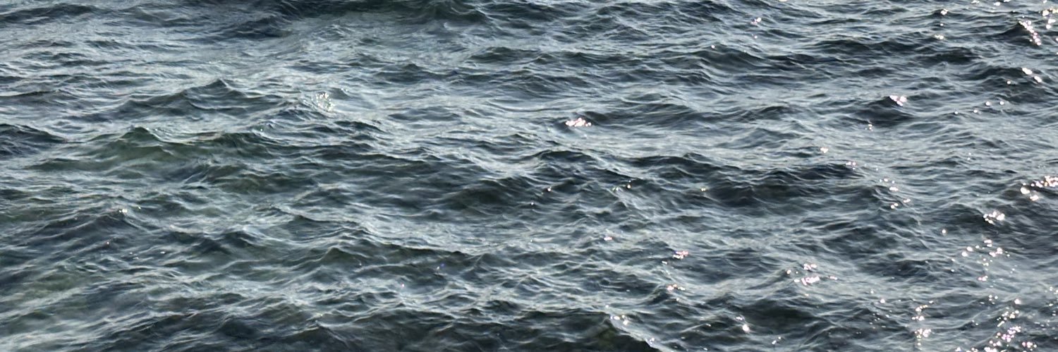 literareem's profile banner image