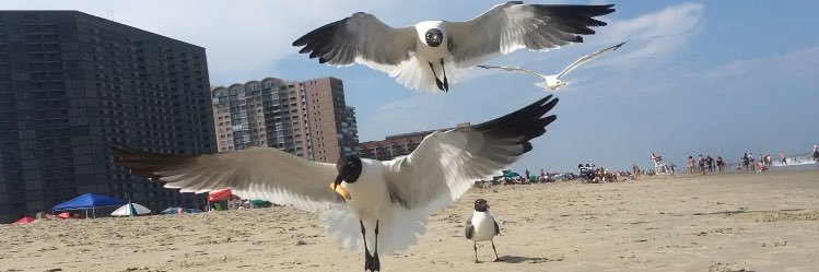 JulieBean76's profile banner image