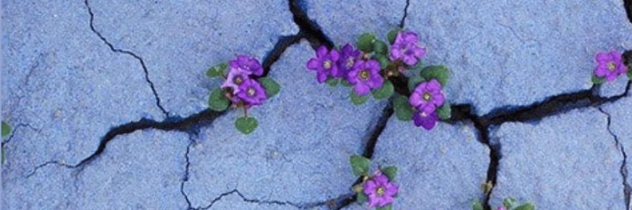 AinhoaG9's profile banner image