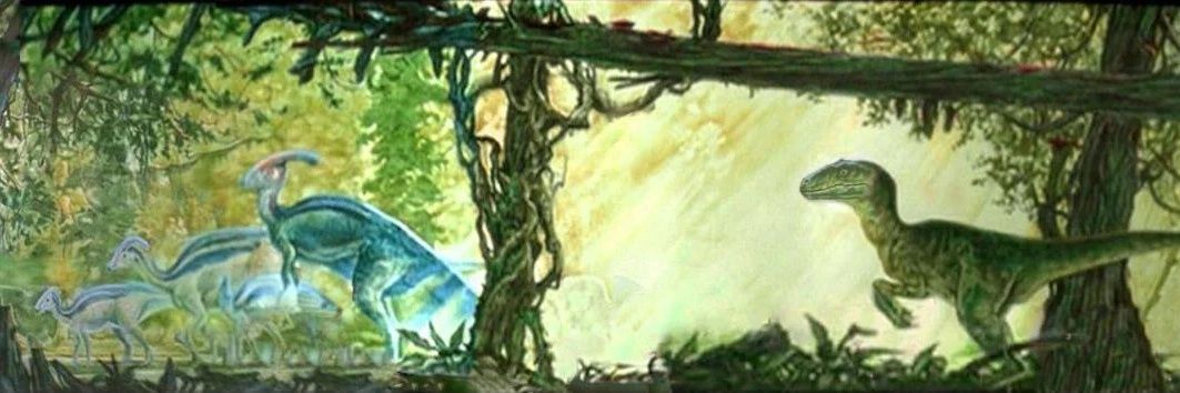forehead_films's profile banner image