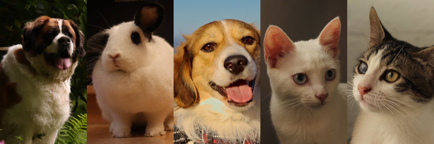 crustmik's profile banner image