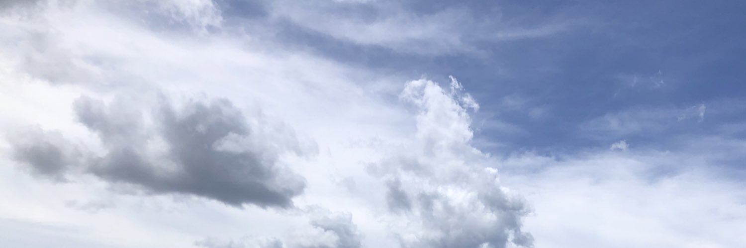 KailinCurranAsing banner