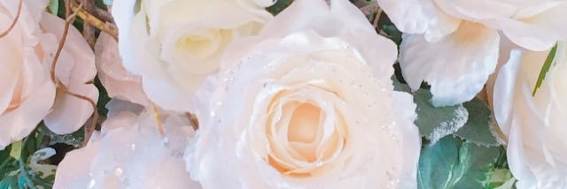 mias1004's profile banner image