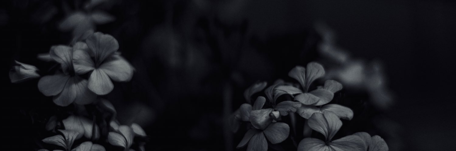 214kise's profile banner image
