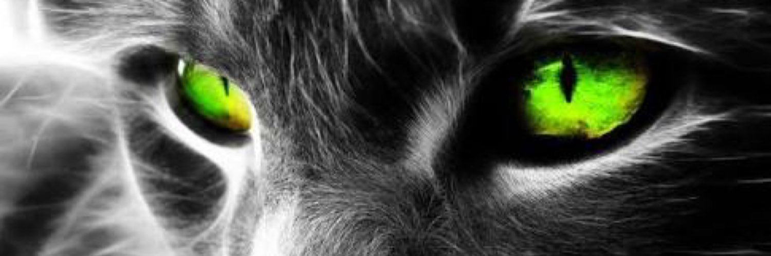 MAGURO_1111's profile banner image