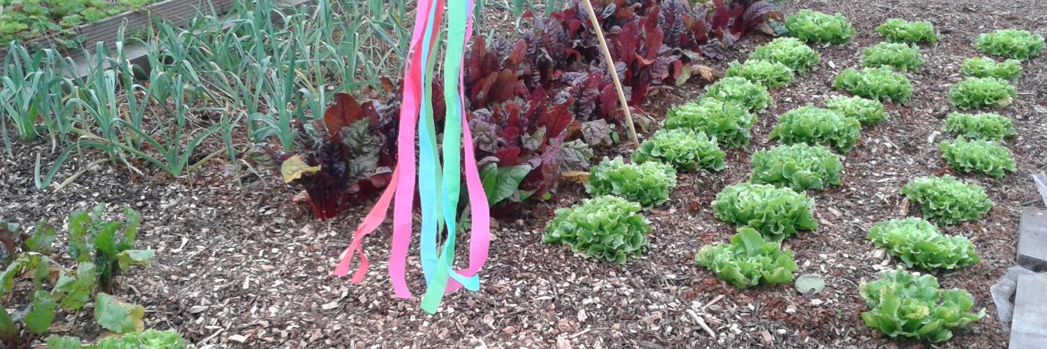 Moestuinmeisje's profile banner image