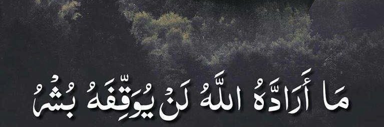 MOHAMEDBORSH's profile banner image