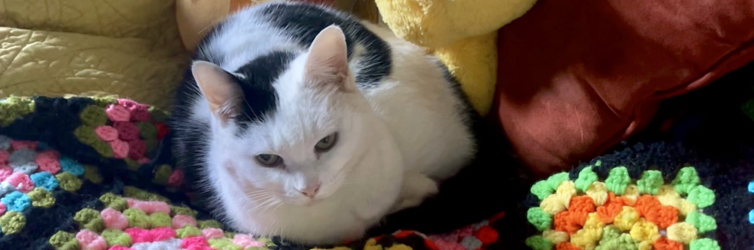 bewwbie's profile banner image