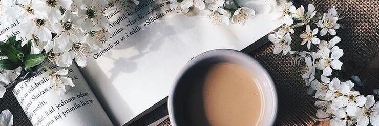 _constanzagomez's profile banner image