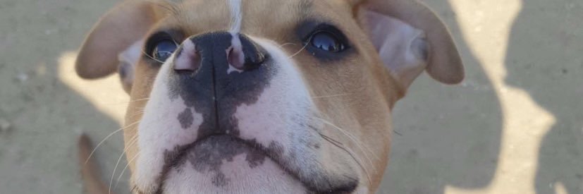 SarahCld_'s profile banner image