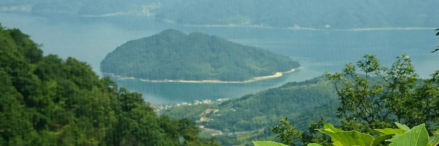 Zibetan's profile banner image