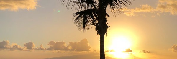 finishmetea Profile Banner