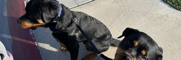 ScottTurner Profile Banner