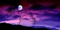 _Moon_light_cat's profile banner image