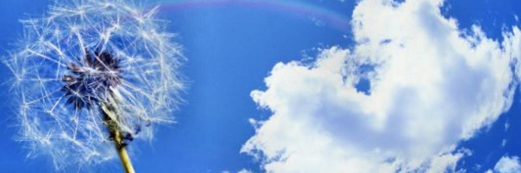 HadiThePrince's profile banner image
