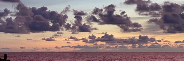 mmaynan Profile Banner