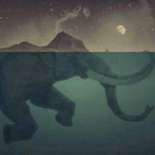 LauraScholtz's profile banner image