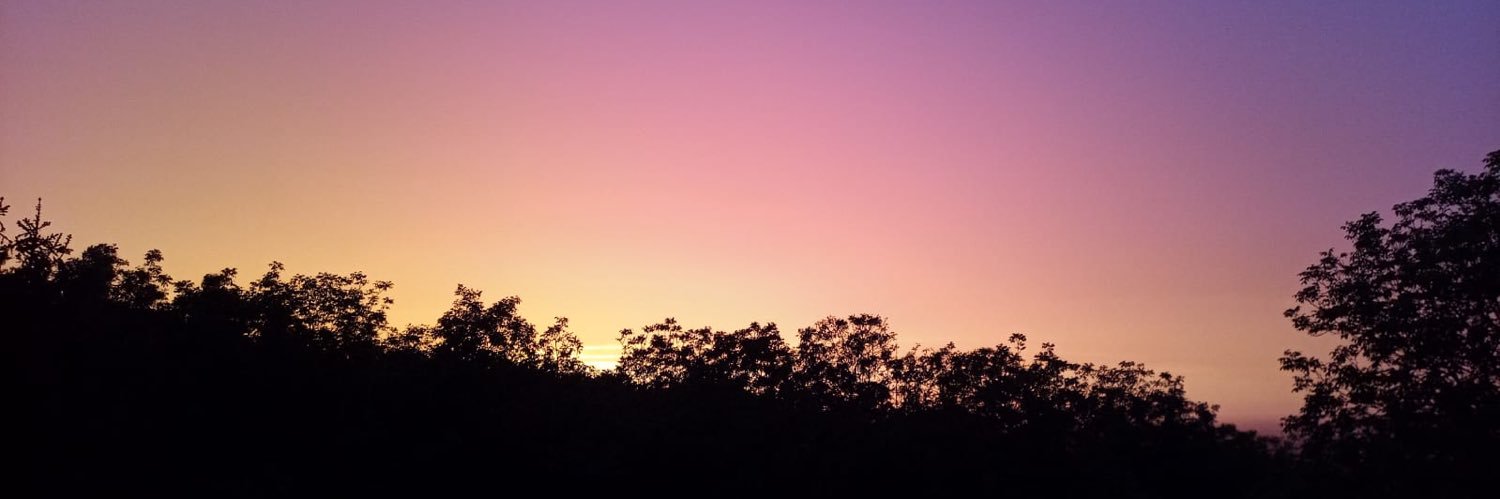 ssalevv's profile banner image
