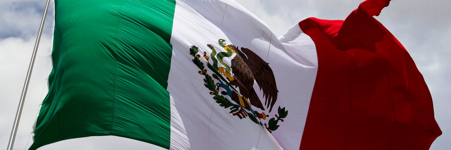 ConsultingPolMX's profile banner image