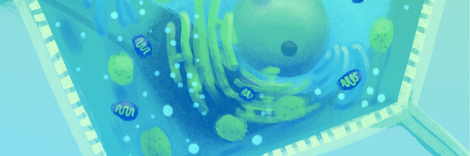 monkeyotoshi's profile banner image