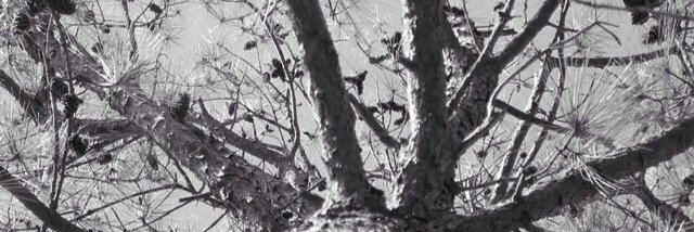 Kari_182's profile banner image