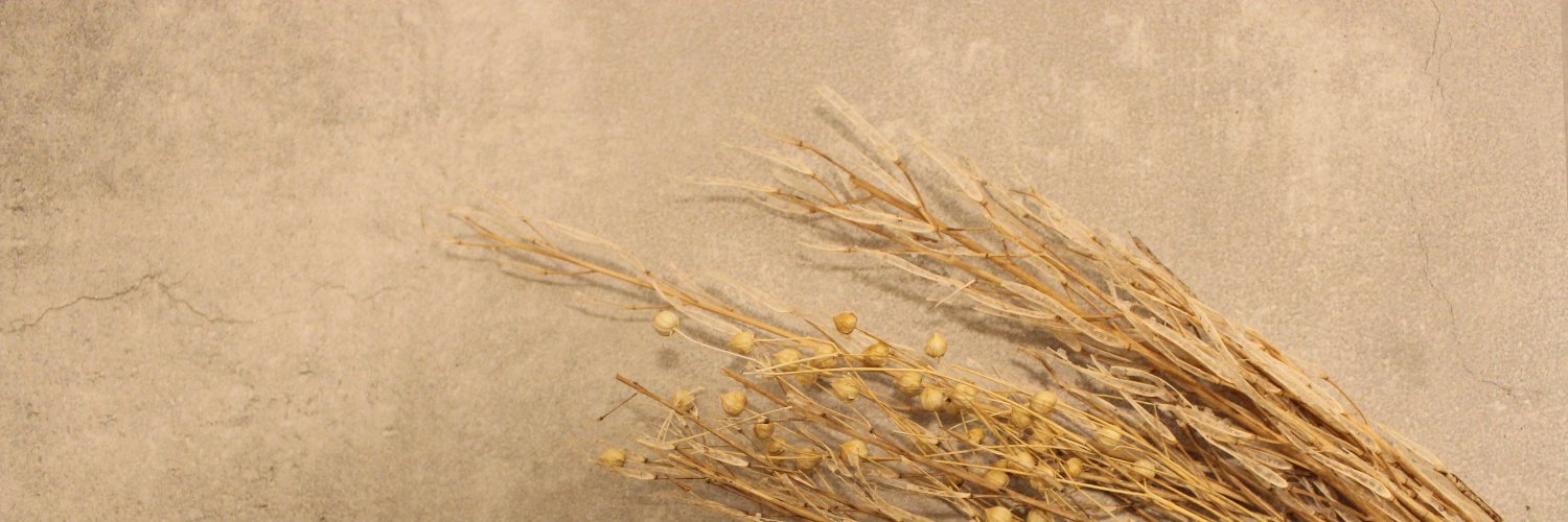 mearchdesign's profile banner image
