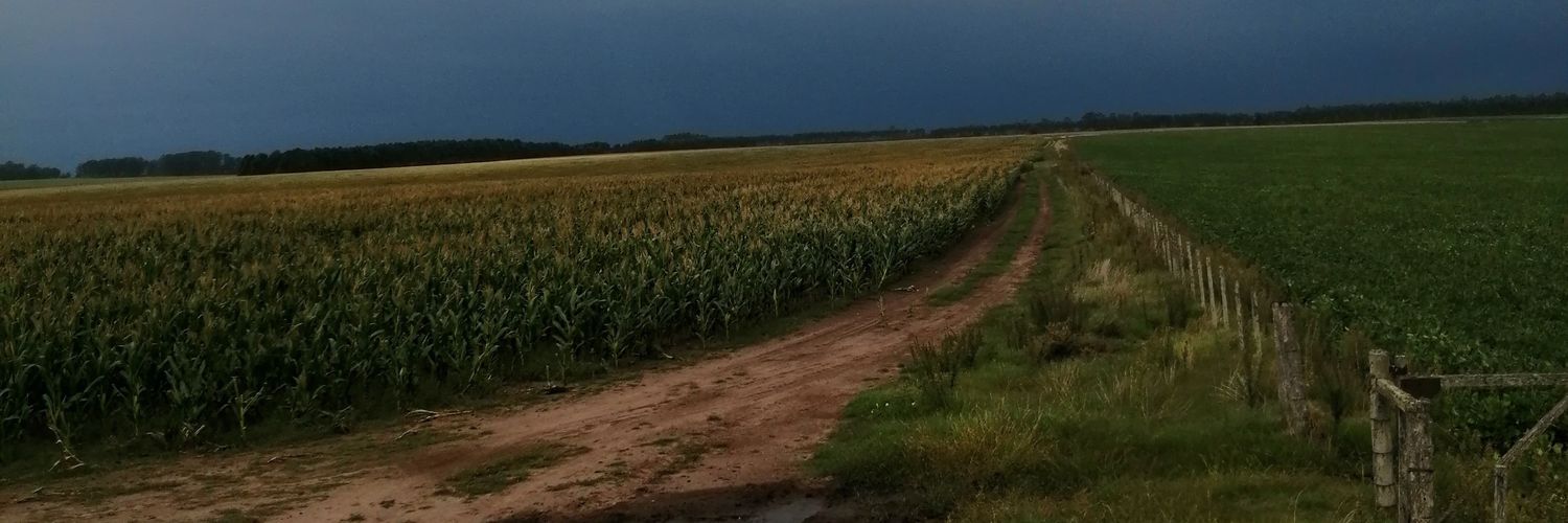 mlenadsc's profile banner image