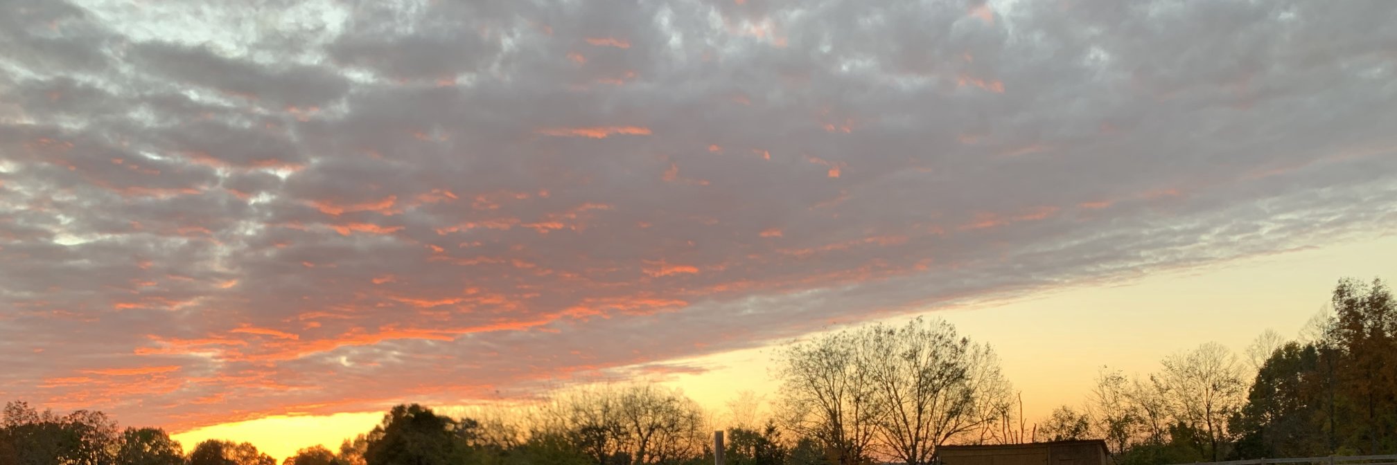 Charlie Daniels, Jr. banner