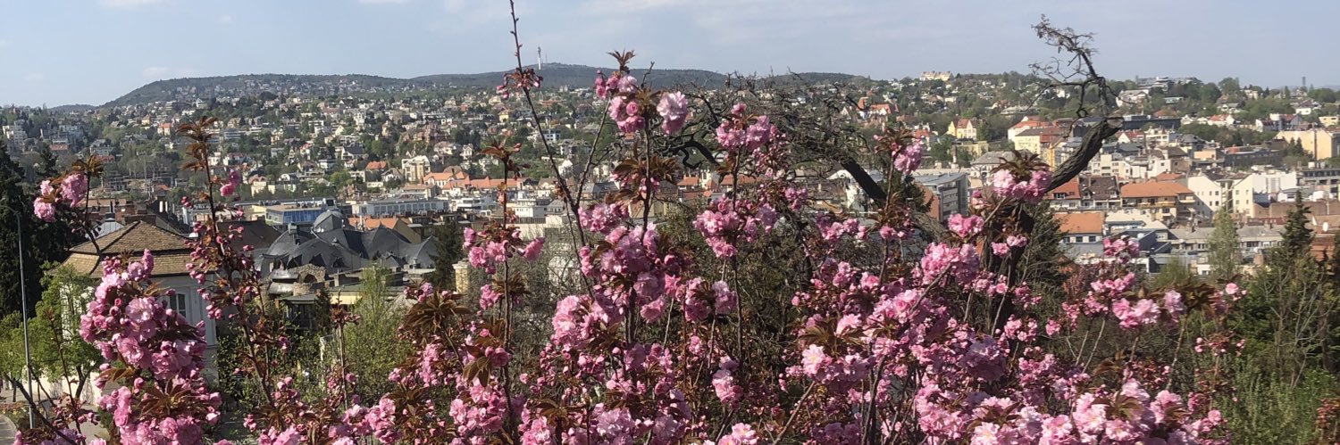 kasiakovacs's profile banner image