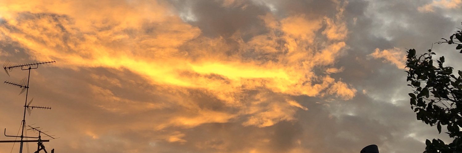 SVL0AN's profile banner image