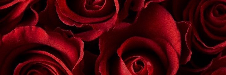 ____rm00's profile banner image