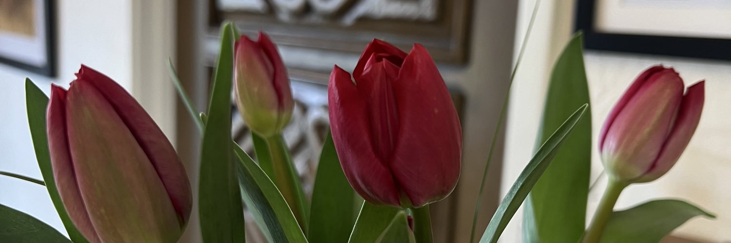 kyljmnz's profile banner image