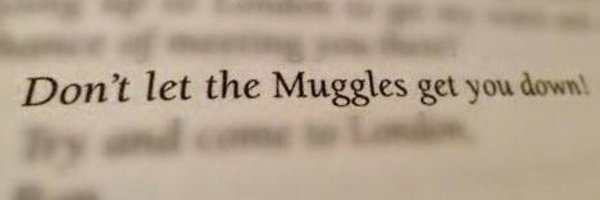 BombayBombil Profile Banner