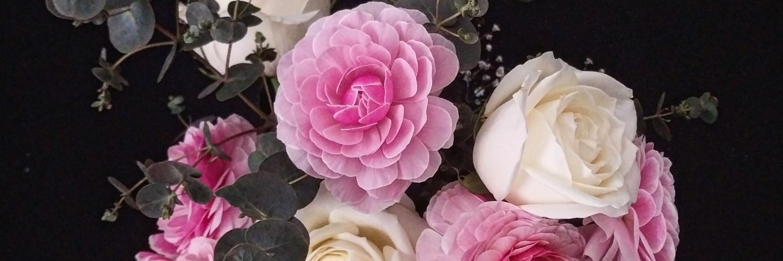 laurettatheone's profile banner image
