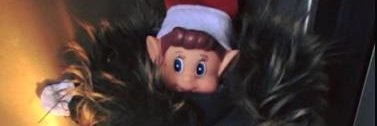 vRyderr's profile banner image