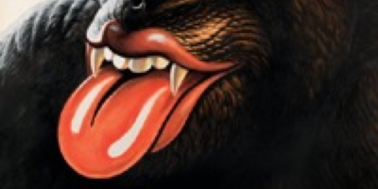 sedringo's profile banner image