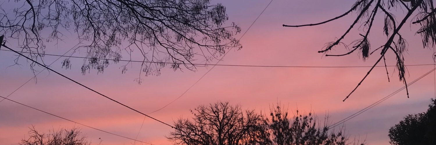 RocchiCairo's profile banner image