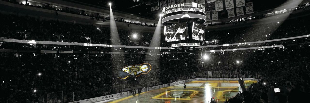 Bruinsguy77's profile banner image