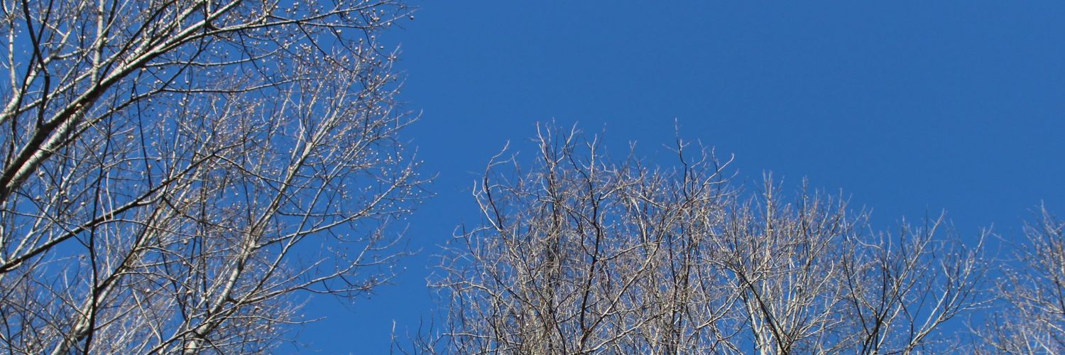 Rx3_84 banner