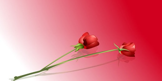 cint_de's profile banner image