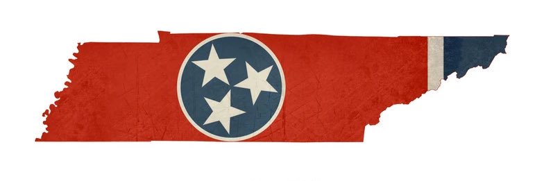 Bill4Volz's profile banner image