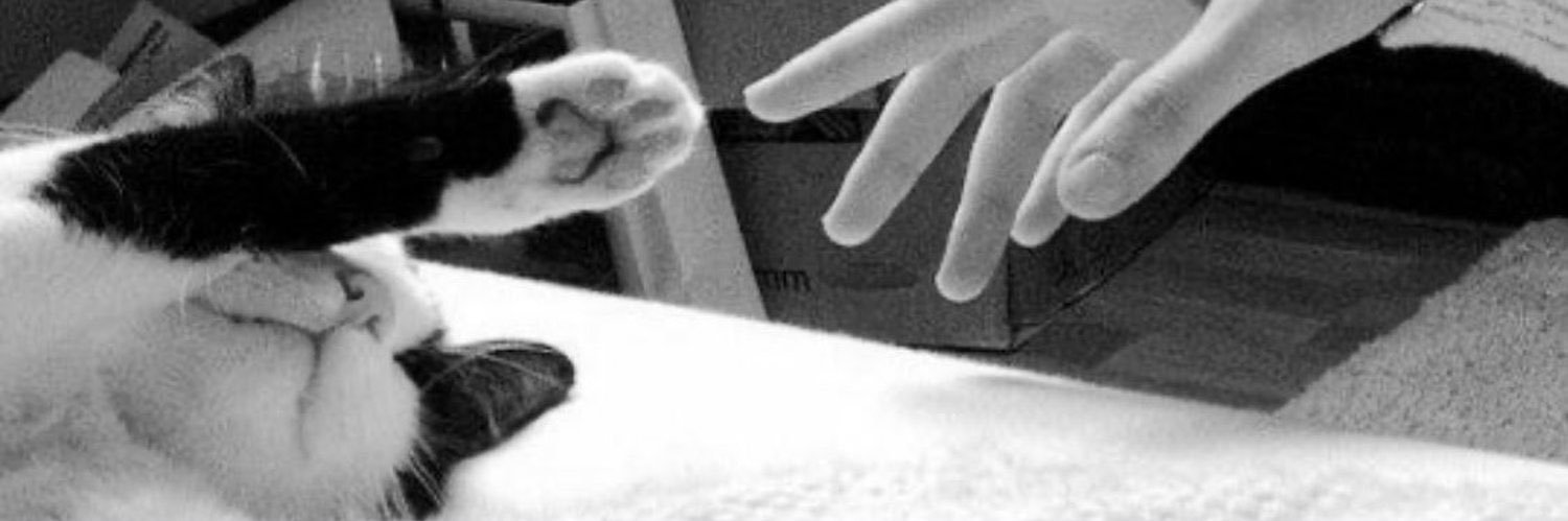 _mun96's profile banner image