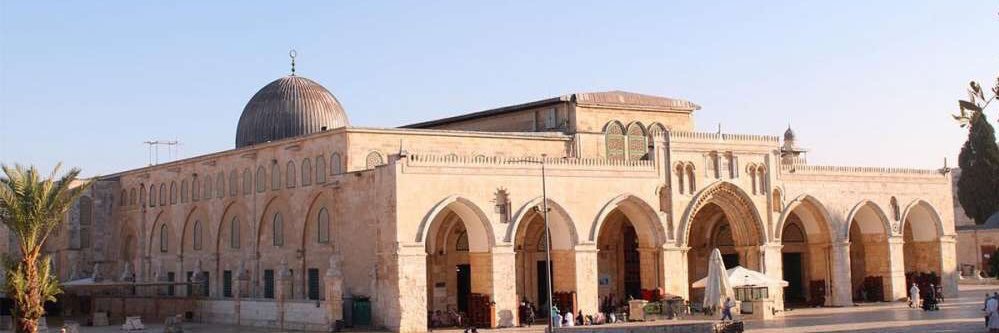 عمرو تارة banner