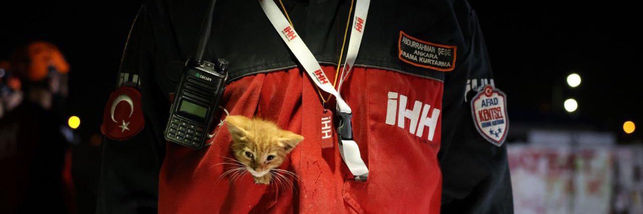 bartinihh's profile banner image