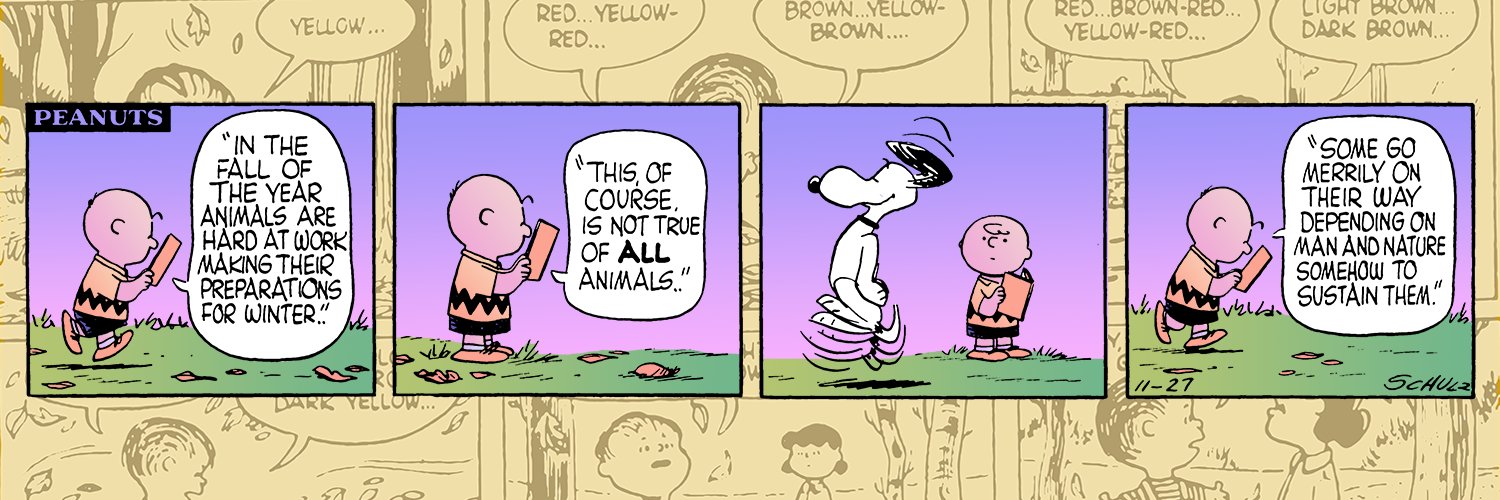 PEANUTS banner