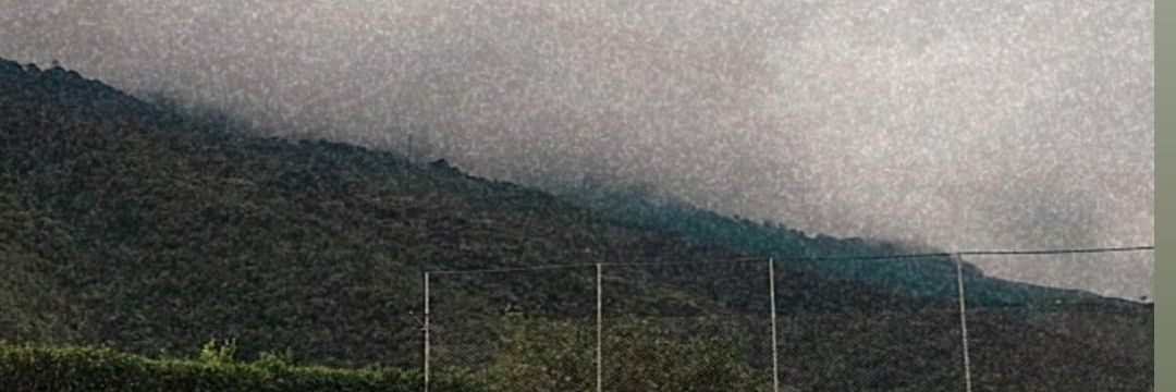 luz006m's profile banner image