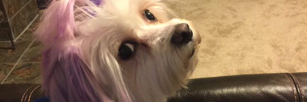 iamtifftiff's profile banner image