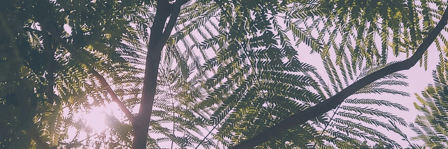 esecompamex's profile banner image